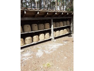 Holiday apartment Schneverdingen Environment 31