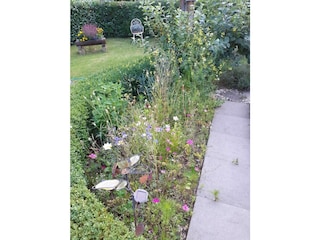 Holiday apartment Schneverdingen Outdoor Recording 10