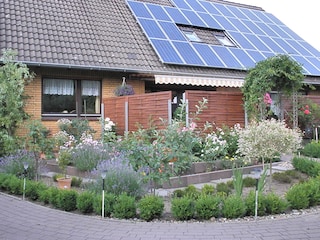 The garden