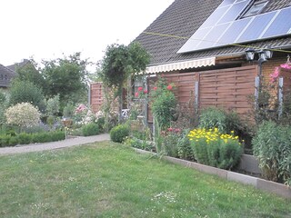 In the garden