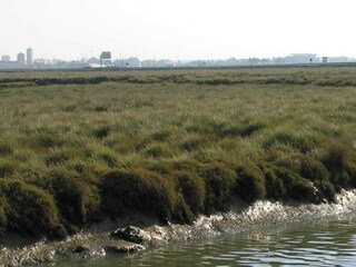 Villa Algorfa Environnement 35
