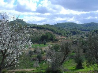 Villa Sant Josep de sa Talaia Entorno 29