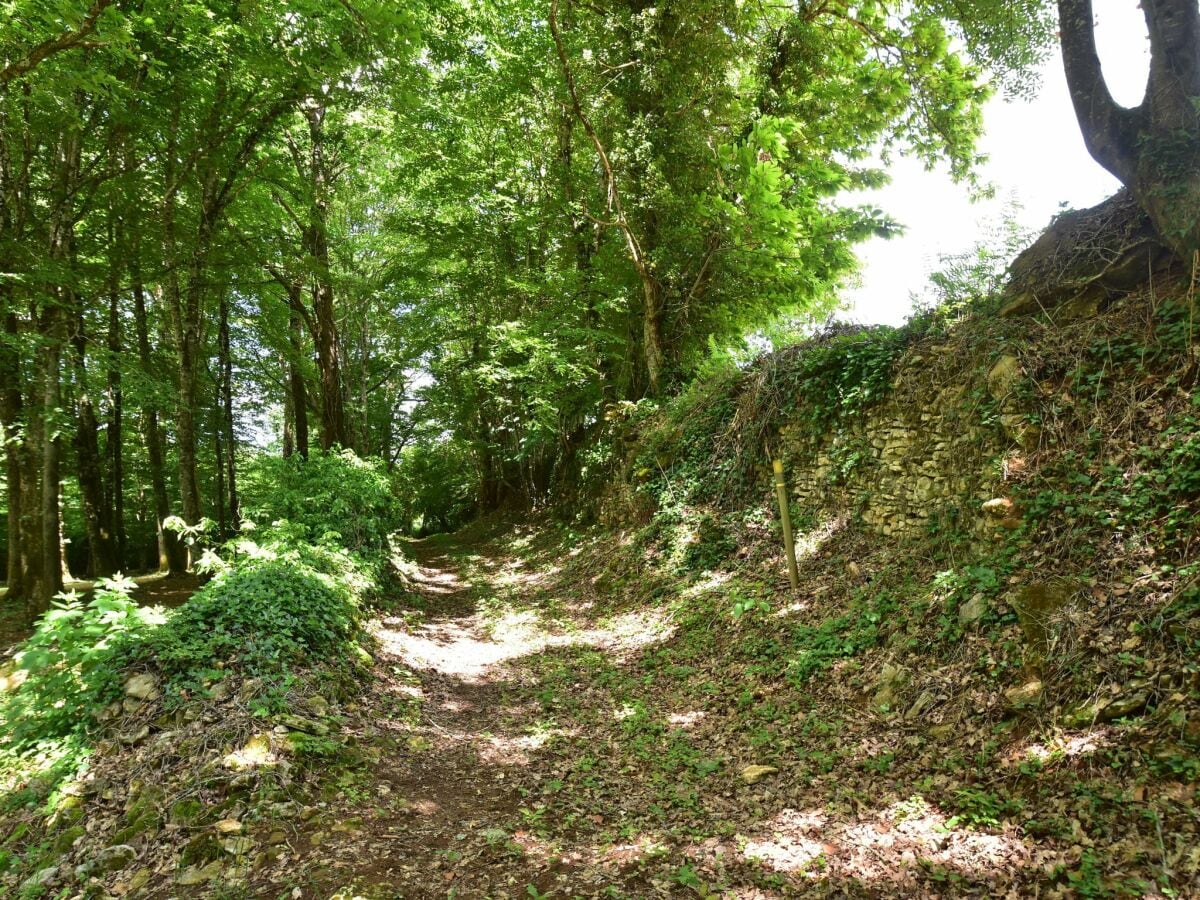 Ferienhaus Villefranche-du-Périgord Umgebung 36