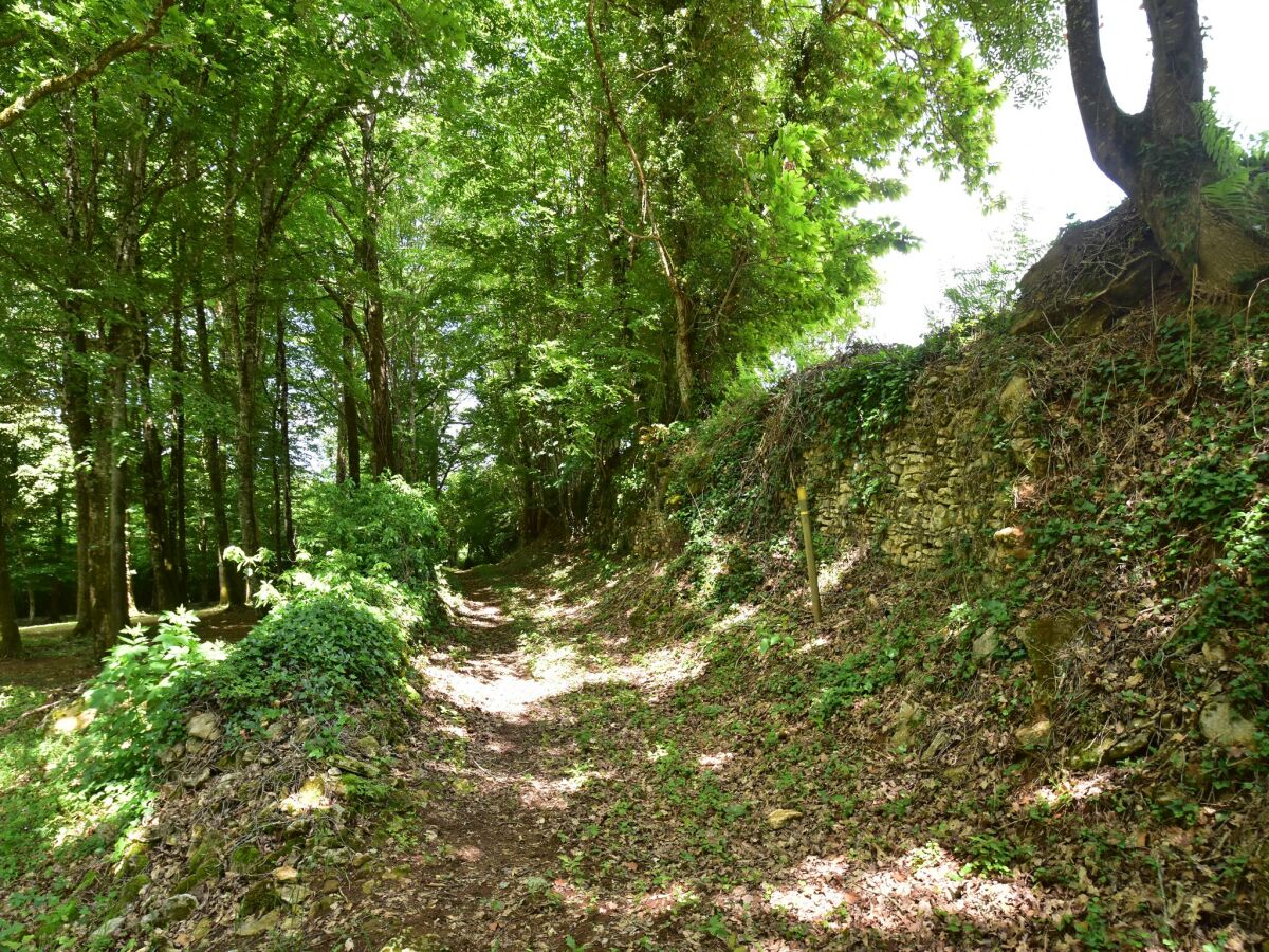 Ferienhaus Villefranche-du-Périgord Umgebung 38