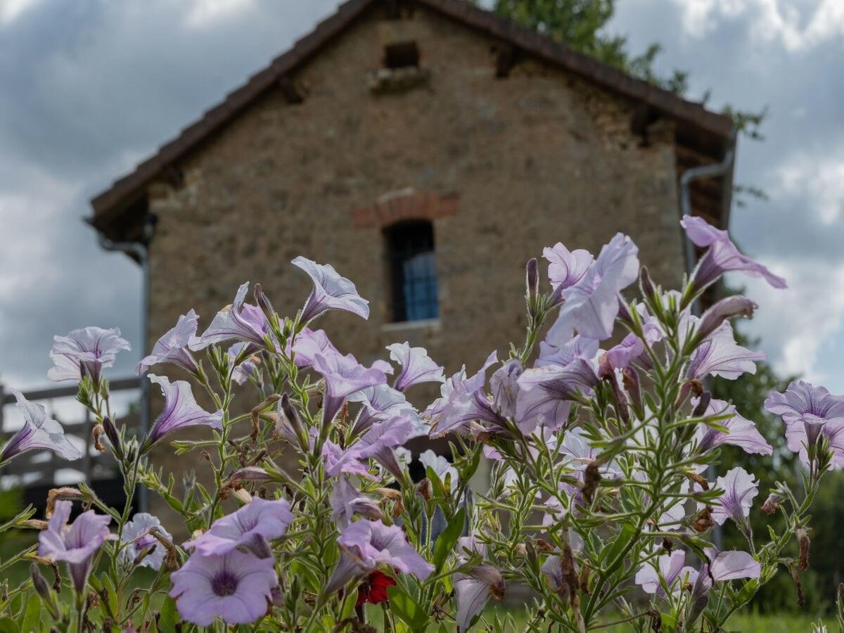 Ferienhaus Lavaur  38