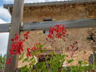 Ferienhaus Lavaur  40