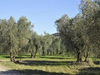 Casa de vacaciones Pailhès Entorno 26