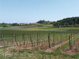 Casa per le vacanze Pailhès Ambiente 25