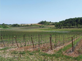 Maison de vacances Pailhès Environnement 37
