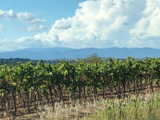 Maison de vacances Pailhès Environnement 23