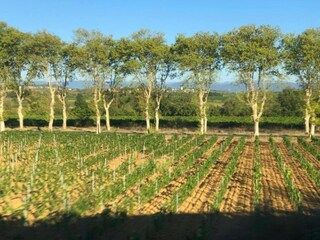 Casa de vacaciones Pailhès Entorno 26