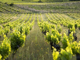 Casa de vacaciones Pailhès Entorno 21