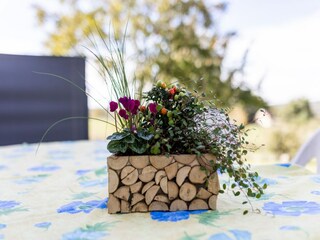 Appartement Catus  37