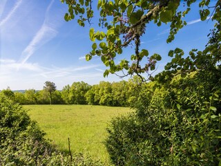 Vakantiehuis Fajoles Omgeving 24