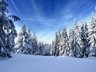 Chalet La Bresse Omgeving 22