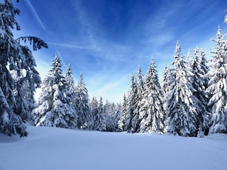 Chalet La Bresse Umgebung 37
