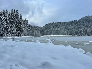 Chalet La Bresse Umgebung 36