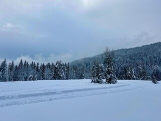 Chalet La Bresse Entorno 35