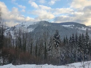 Chalet La Bresse Umgebung 20