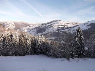 Chalet La Bresse Umgebung 34