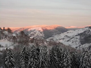 Chalet La Bresse Ambiente 38