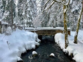 Chalet La Bresse Environment 30