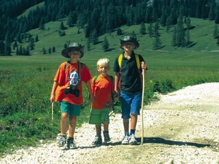 Appartamento per vacanze Zell am Moos Ambiente 18