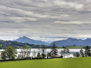 Vakantieappartement Zell am Moos Omgeving 14