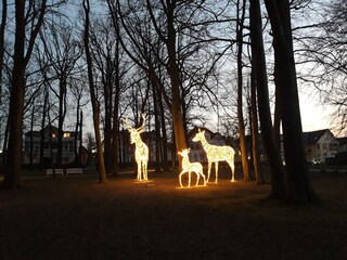 Winterzeit im Balticpark