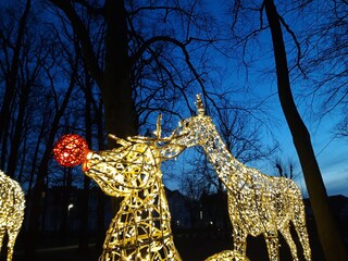 Winterzeit im Balticpark