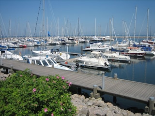 Hafen