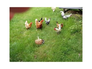 Holiday house Hebertsfelden Environment 26