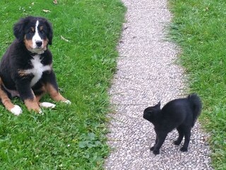 Holiday house Hebertsfelden Environment 28