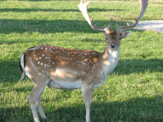 Holiday house Hebertsfelden Environment 30