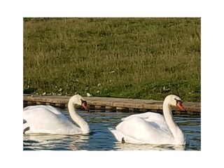 Holiday house Hebertsfelden Environment 32