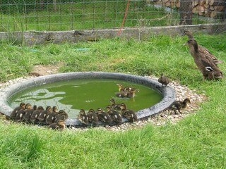 Holiday house Hebertsfelden Environment 33