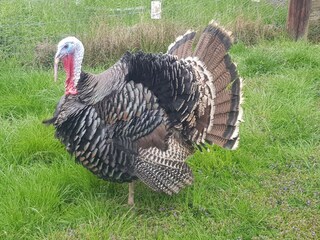 Holiday house Hebertsfelden Environment 34