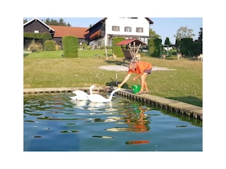 Holiday house Hebertsfelden Environment 6