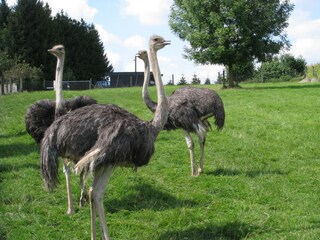 Holiday house Hebertsfelden Environment 25