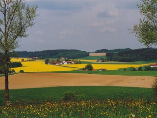 Holiday house Hebertsfelden  40