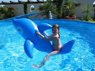Holiday house Hebertsfelden Swimming Pool 22