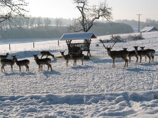 Holiday house Hebertsfelden Environment 38