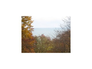 Wanderung durch die Granitz