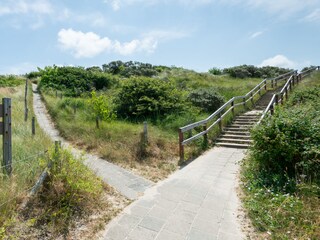 Die Dünen von Zoutelande