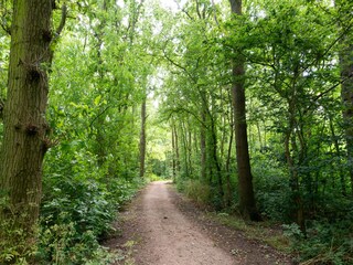 Casa per le vacanze Zoutelande Ambiente 16