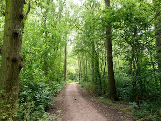 Wanderwege in der Umgebung