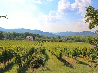 Type de propriété : Ferme Umbertide Environnement 31