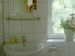 Bungalow Tharandt Caratteristiche 11