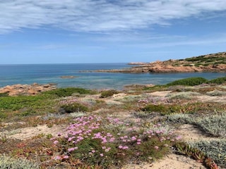 Holiday house Trinità d'Agultu e Vignola Environment 37