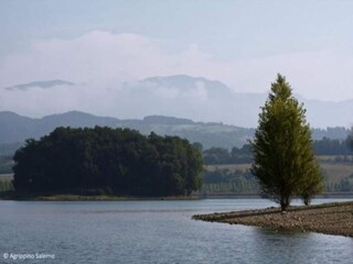 Appartamento Pratolino Ambiente 33